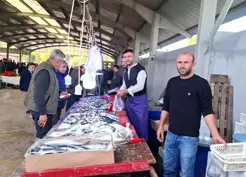 >Kütahya Hisarcık'ta Balık Fiyatları Düşüşte: Hamsi ve Sardalya 150 TL'ye Geriledi