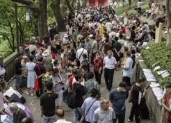 >Bu da çöpçatan pazarı! Yüzlerce bekar bu parkta toplanıyor, duvara ilan asıp eş arıyor