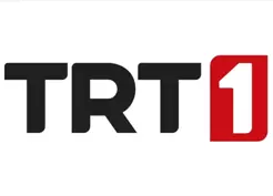>TRT 1 yayın akışı 2 Ocak 2026! Taşacak Bu Deniz yeni bölüm ne zaman, bugün var mı?