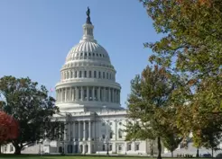 >ABD, Somali'ye yönelik yardımları askıya aldı