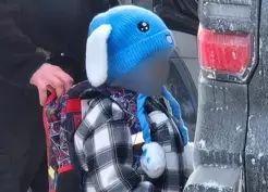 >ABD'de göçmen polisi bir baskında beş yaşındaki çocuğu 'gözaltına aldı'