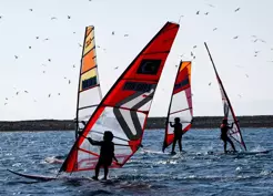 >Foça'nın rüzgarı hem spor hem turizm için esiyor