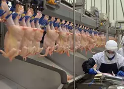 >Ramazan öncesi fahiş zam bakanlığı harekete geçirdi! Tavuk ürünlerinin ihracatı durduruldu