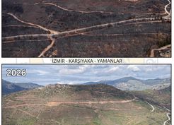 >Orman yangını ile zarar gören Yamanlar, yeşile bürünüyor
