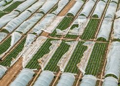 >Antalya'da fırtına, hortum ve sel felaketinin faturası 3 milyar TL