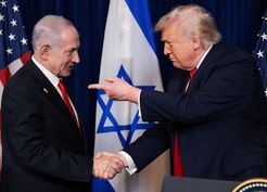>Trump'ın 