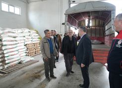 >Çubuk'ta çiftçilere 21 ton nohut tohumu dağıtıldı