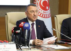 >Dışişleri Komisyon Başkanı Oktay: TBMM Genel Kurulu'nda bekleyen 113 teklif kanunlaşmazsa 'kadük' olacak