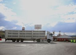 >Batı illerine gönderilen kurbanlıklar Erzurum'da sıkı kontrolden geçiriliyor