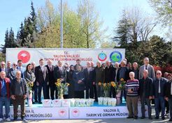 >Yalova'da çiftçiye ayçiçeği ve fasulye tohumu desteği