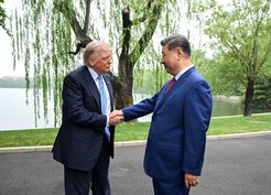 >Albüm: Xi ve Trump, Beijing'de Özel Bir Görüşme Gerçekleştirdi