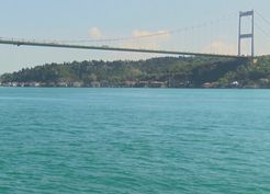 >İstanbul Boğazı'nda yunus sürprizi