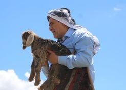 >Türkücü Aydın Aydın anne keçinin feryadını duydu, yavrusunu ölümden kurtardı