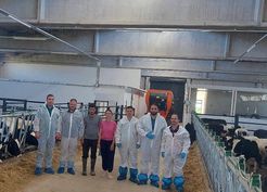 >Hisarcık'ta ilk hastalıktan ari büyükbaş işletmesi için önemli adım