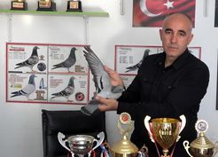 >Ermenistan sınırından bırakılan güvercin bin kilometre yolu bir günde katederek evine döndü