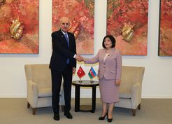 >TBMM Başkanı Kurtulmuş, Bakü'de Azerbaycan Milli Meclisi Başkanı Gafarova ile görüştü