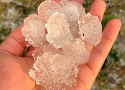 >Tekirdağ'da dolu ayçiçeği ve karpuz tarlalarını vurdu