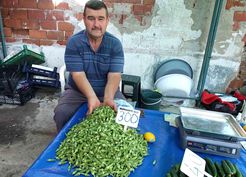 >Burhaniye'de bamya üreticisine kazandırdı