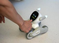 >Albüm: Çin'in Chengdu Kenti Yapay Zeka ve Robotikte Büyümesini Sürdürüyor