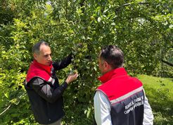 >Kars'ta meyveciliğe güç katacak ziyaret: Enver Aydın'dan Sarıkamış'ta verimli üretim için 5 altın tavsiye