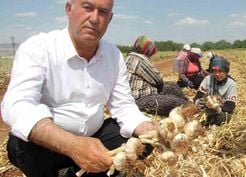 Altun’dan tarım mesajı