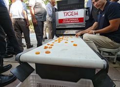 Malatya'da günde 2 ton kayısı ayıklayan makine geliştirildi