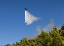 Atina'da Orman Yangını Şiddetli Rüzgarla Büyüyor