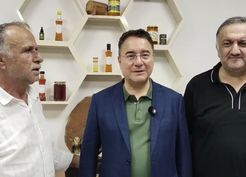 Babacan: Arıcılıkta Destekler Anlamsız