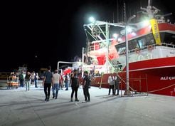 Gürpınar Balık Hali'nde Av Sezonu Heyecanı: Palamut Bolluğu