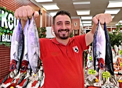 Karadeniz'de palamut bolluğu: Tezgahlar şenlendi, fiyatlar 140-180 TL