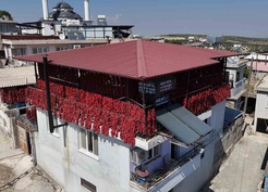 Kavurucu sıcakta tek tek ipe dizilen dolmalık acı biberler, mahalledeki balkonları kırmızıya bürüdü