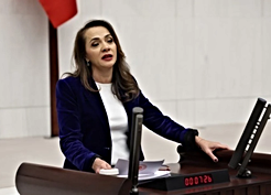 CHP'li İlgezdi, köprü ve otoyolların özelleştirilmesini Bakanı Şimşek'e sordu