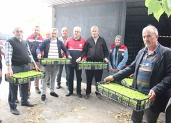 Kastamonu İnebolu'da 65 çiftçiye 88 bin 400 fide yüzde 75 devlet katkısıyla dağıtıldı