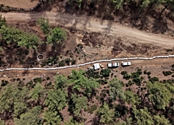Muğla'da çam balı hasadı başladı, arıcıların yüzü gülüyor