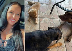 ABD'de iki çocuk annesi kadın, eşi tarafından köpeğiyle ilişkiye girerken yakalandı
