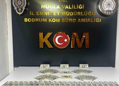 Bodrum'da sahte dolar operasyonunda şüpheli tutuklandı, 46 bin 200 dolar bulundu