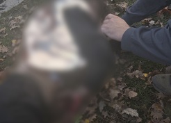 Harkov'da parka düzenlenen İHA saldırısında 3'ü çocuk 6 kişi öldü