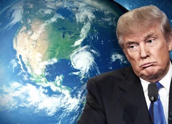 Trump: Somali tam bir b.k çukuru, ülke bile değil