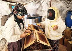 Muğla'da bal üreticileri glikozlu balın çam balı diye satılmasına tepki gösterdi