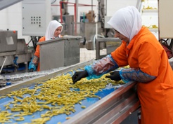 Türkiye, turşu ihracatından 9 ayda 301 milyon 675 bin dolar gelir elde etti