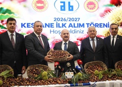 Aydın'da sezonun ilk kestaneleri 16 üreticiden kilogramı 600 TL'den alındı