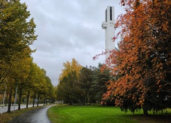 Finlandiya'da sonbahar renkleri Vaasa'da güzel görüntüler oluşturdu