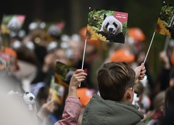 Çin'e gönderilecek yavru panda Lang Yue'yi taşıyan araç hayvanat bahçesinden ayrıldı