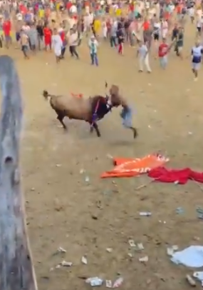 Boğa güreşi festivalinde matador aldığı boynuz darbesi ile feci şekilde can verdi