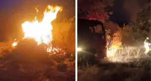 В Бурсе пожар, возникший на травяном участке, перекинулся на лес.