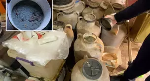 The people coming out of the grocery store made me feel nauseous.