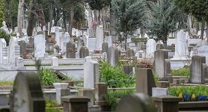 Из мешка на кладбище высыпались тысячи наркотических таблеток.