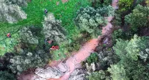 Missing Alzheimer's patient found dead.