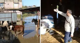 В Анталии сильный дождь парализовал жизнь! Спасены застрявшие животные.