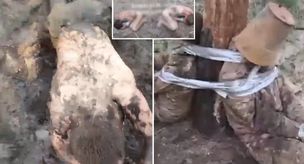 What have Putin's commanders done! Scandalous images from the Russian army.